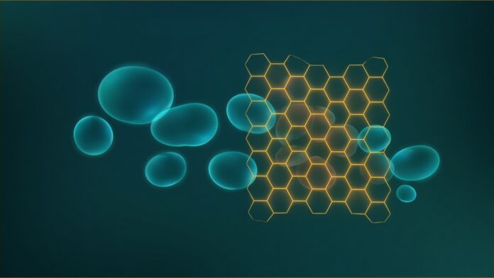 New York AI Chatbot Law Bars Unsafe Features for Kids | TSN Illustration of New York AI chatbot law concept in teal and amber: soft rounded teal glowing bubbles drifting right into a translucent amber hexagonal lattice barrier, with some bubbles held and dimmed inside the lattice and a few passing through.